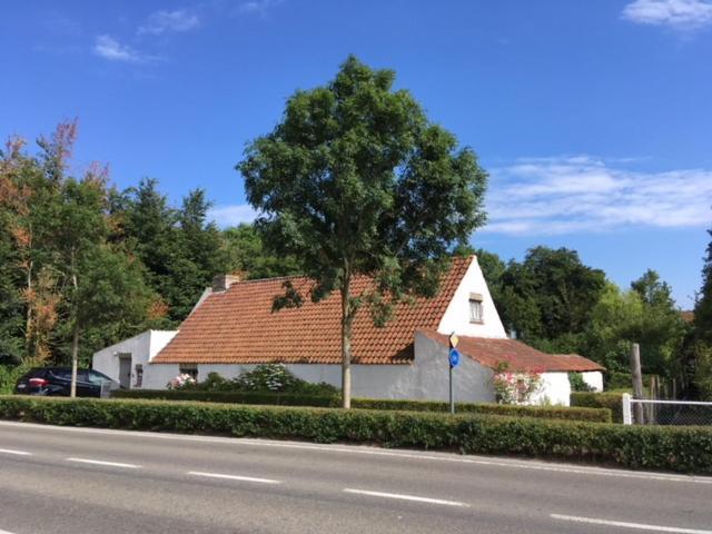 Bed and Breakfast Albatros Koksijde Exterior foto